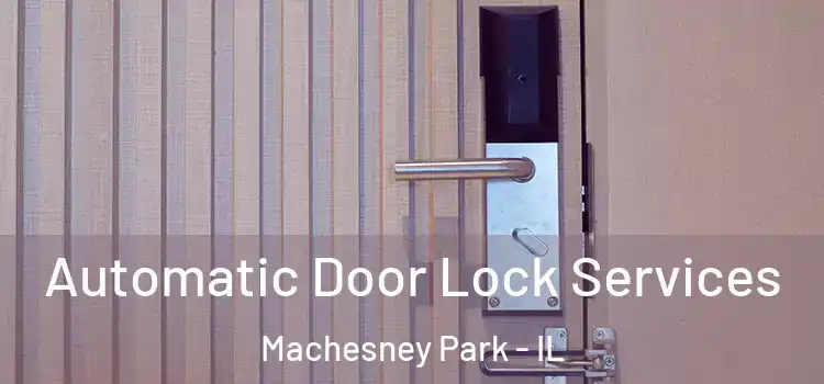 Automatic Door Lock Services Machesney Park - IL