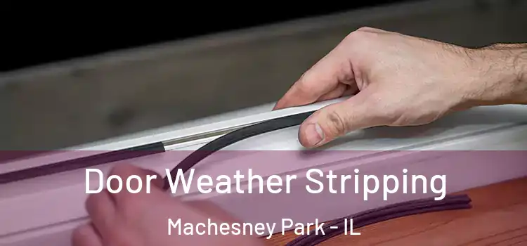 Door Weather Stripping Machesney Park - IL